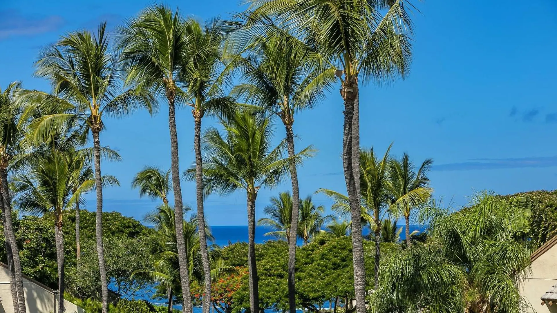 Maui Kamaole By Coldwell Banker Island Vacations Apartment Wailea